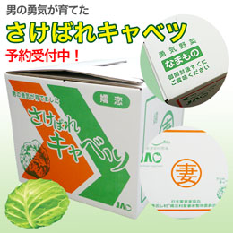 【予約販売】男の勇気野菜「さけばれキャベツ」