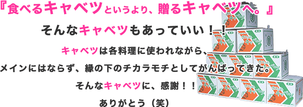 『食べるキャベツというより、贈るキャベツへ。』そんなキャベツもあっていい!!キャベツは各料理に使われながら、メインにはならず、縁の下のチカラモチとしてがんばってきた。そんなキャベツに、感謝!!ありがとう(笑)